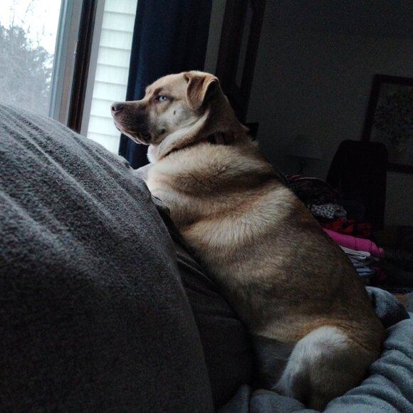 NOTIFICATION - Picture 6 of 8